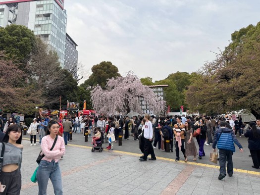 Ueno park