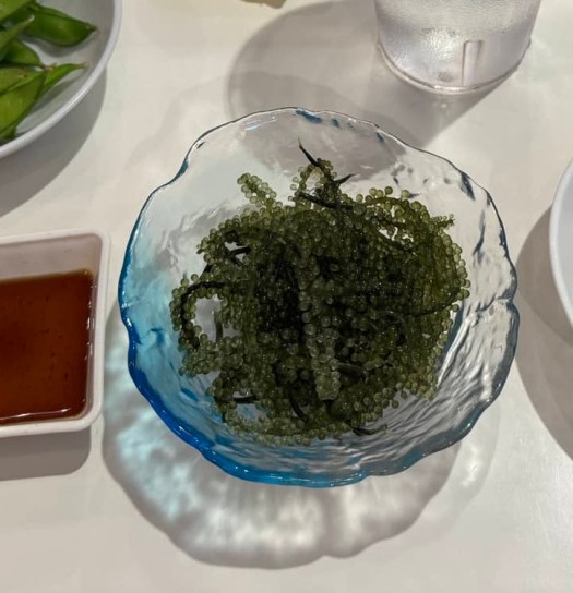 ocean grapes