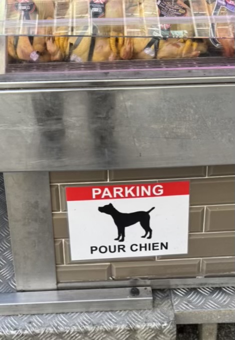 Dog parking
