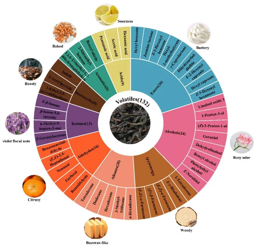 The complex universe of aroma compounds in Wuyi oolong