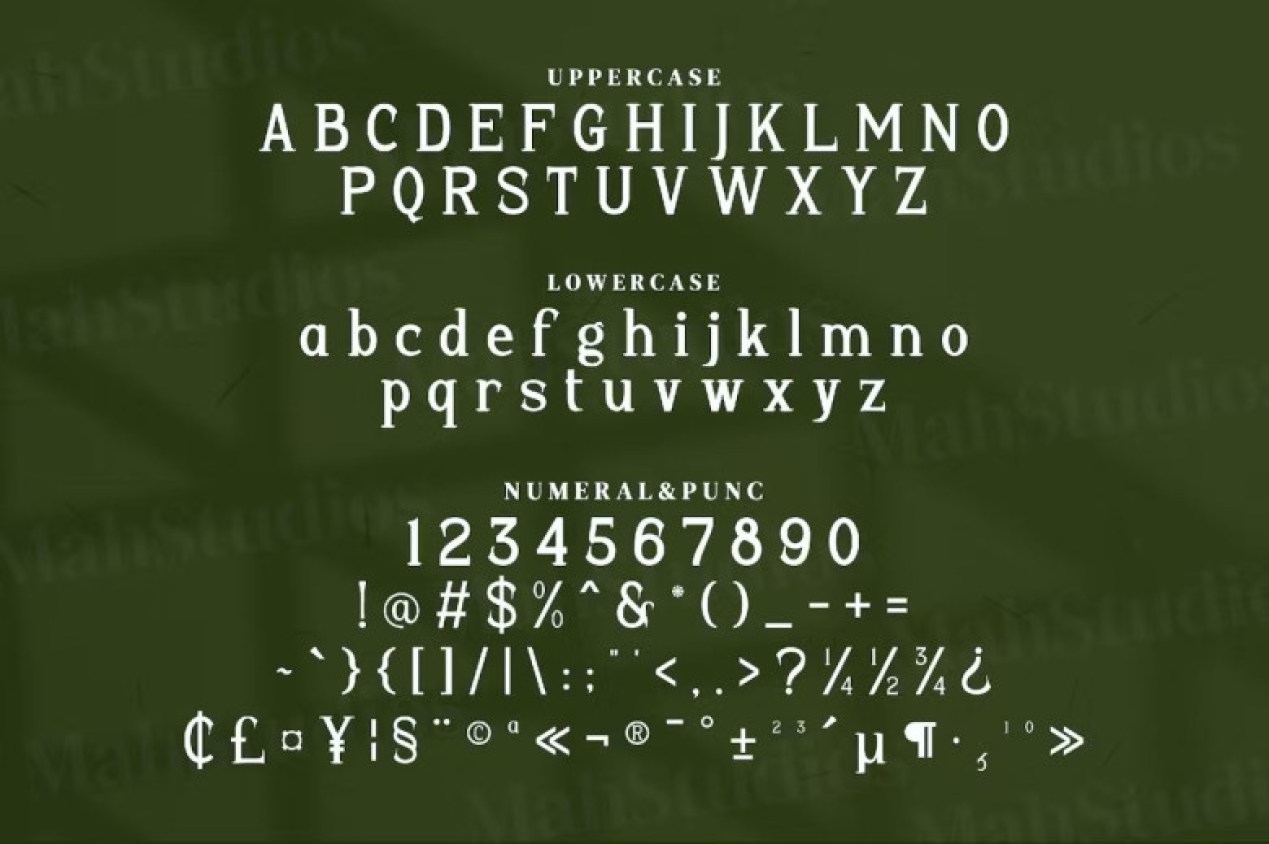 Endameri Font-3