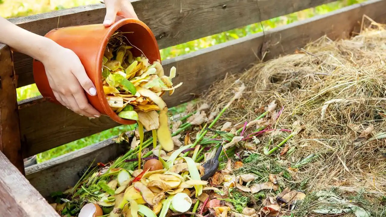 The 6 Best Compost Accelerators
