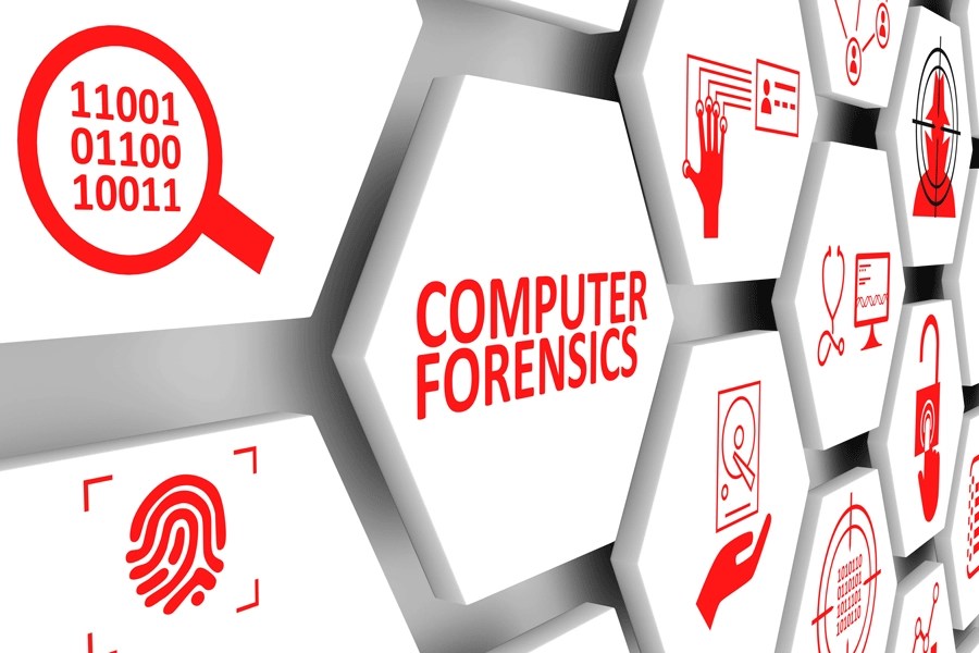 Private Sector Sectors Curbing Corruption 