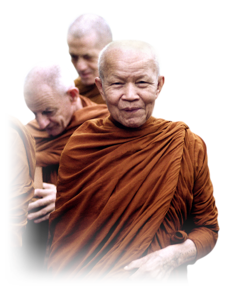 Dhamma de la forêt added a track. Forest Dhamma