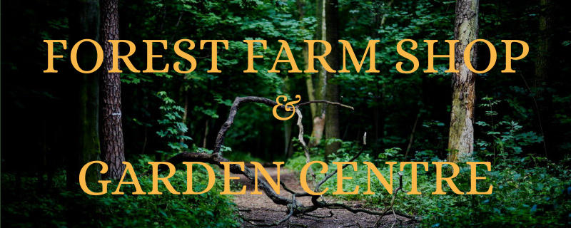 Q gardens farm shop, steventon: Forestfarmshop