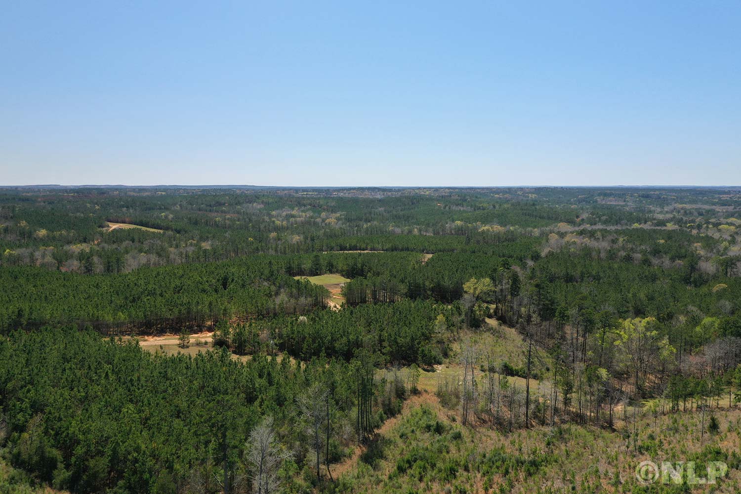 Forest ridge land property photo gallery