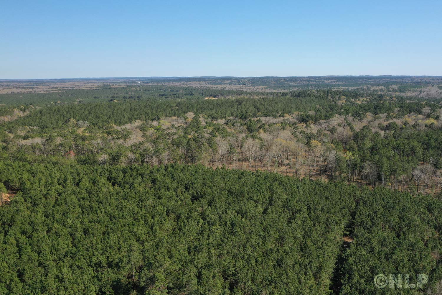 Forest ridge land property photo gallery