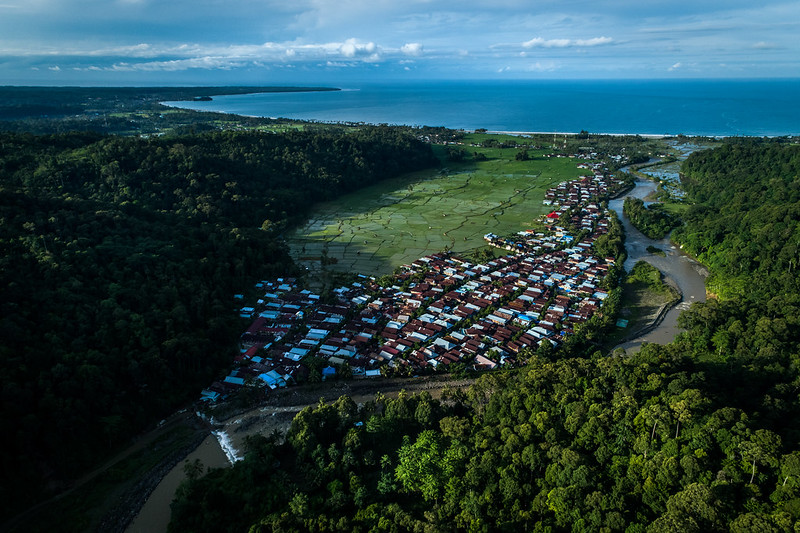 View of a village from above with fields, trees and the ocean visible