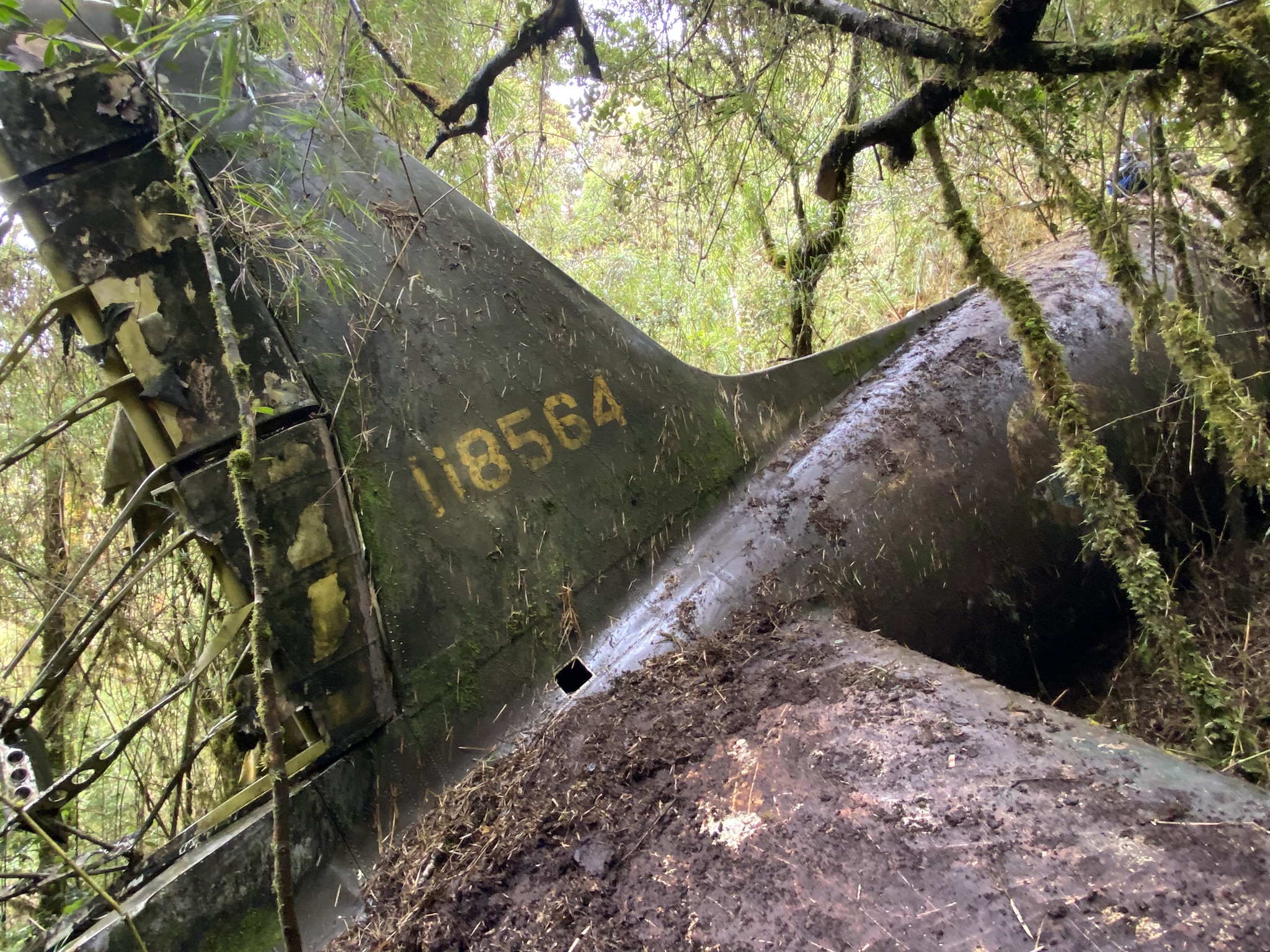 WWII Flying Dutchman wreck in Papua New Guinea’s Mount Obree cloud forest, showing moss-covered tail with faded yellow serial number 18564.