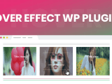 7 Hover Effect Wordpress Plugins Free And Paid Formget