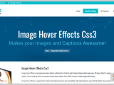 7 Hover Effect Wordpress Plugins Free And Paid Formget