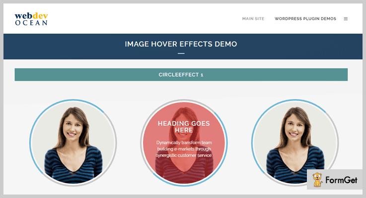 Anyhover image effects allows user to add multiple on hover effects to their images using standard wp media tool. 7+ Hover Effect WordPress Plugins (Free and Paid) | FormGet