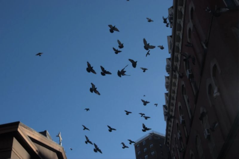 Website Design Development Digital Marketing Formwork Studios - Perfect High Resolution Colorful Photos | Free Download