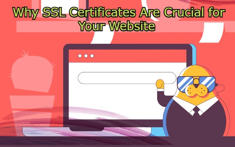 SSL Certificates