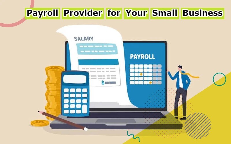 Payroll Provider