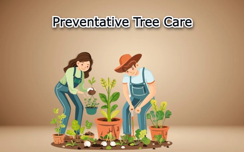 Preventative Tree Care