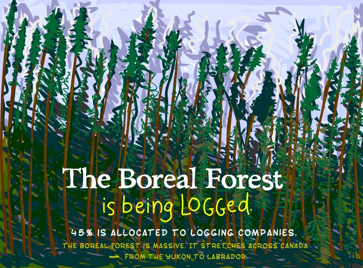 The Boreal Forest is being logged Boreal Forest is being logged, Photo illustration by Franke James