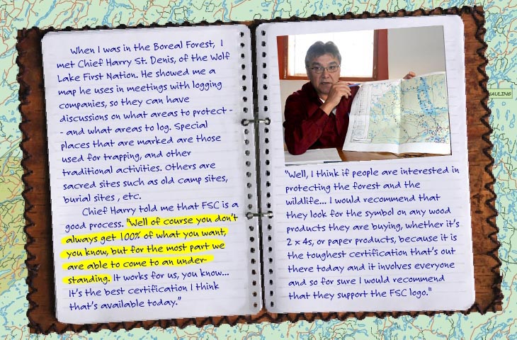 Journal features Chief Harry St. Denis, Wolf Lake First Nation Journal features Chief Harry St. Denis, Wolf Lake First Nation, photo illustration by Franke James