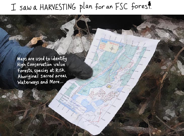 Tembec harvesting plan for an FSC forest Tembec harvesting plan for an FSC forest, photo by Franke James