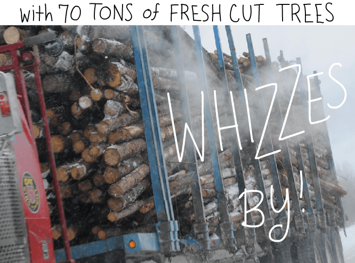 with 70 tons of fresh cut trees whizzes by with 70 tons of fresh cut trees whizzes by, Photo illustration by Franke James