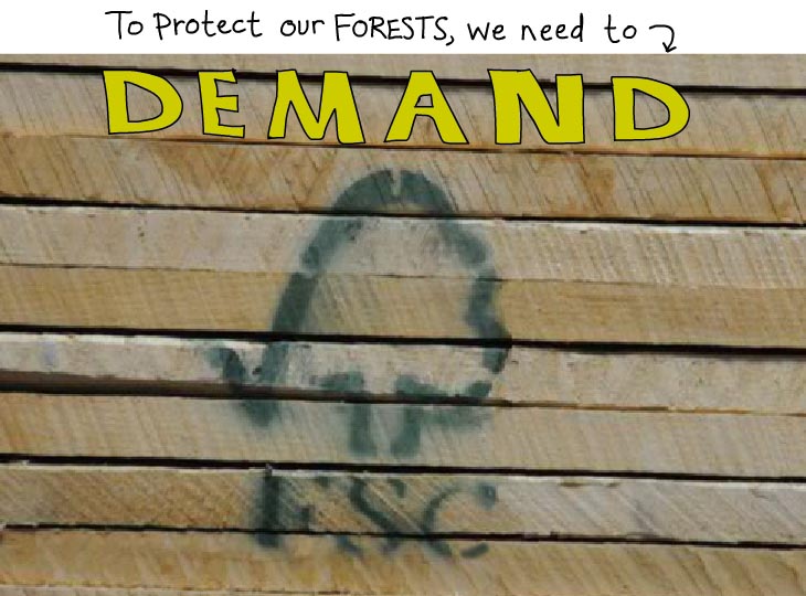 To protect our forest we need to demand FSC to protect our forest we need to demand FSC photo illustration by Franke James