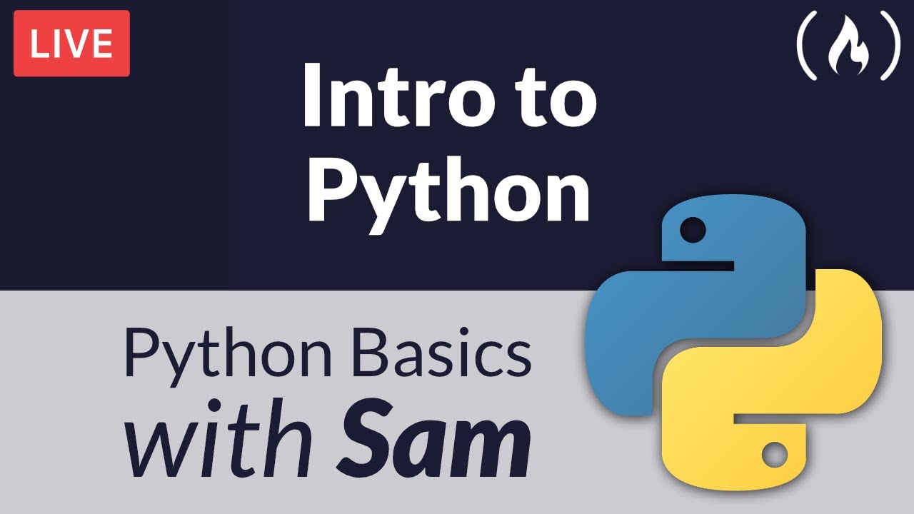 Intro to Python Livestream – Frank's World of Data Science & AI