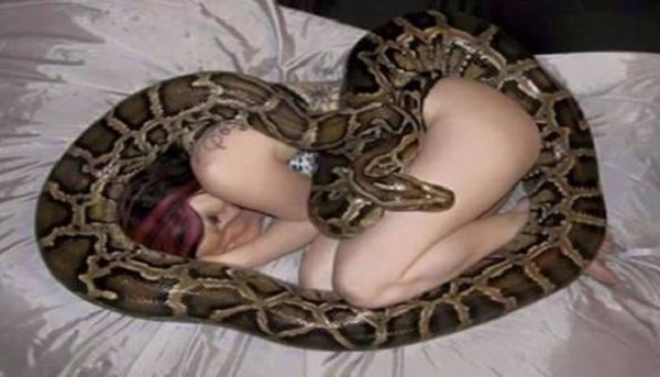 Woman sleeps with her pet snake