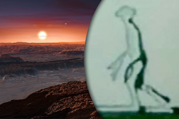 Cenos aliens discovered on Earth