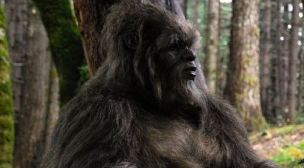 Sasquatch spotted in Tofino Canada