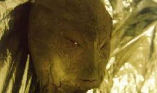 Doctor performs autopsy on alien he found in woods