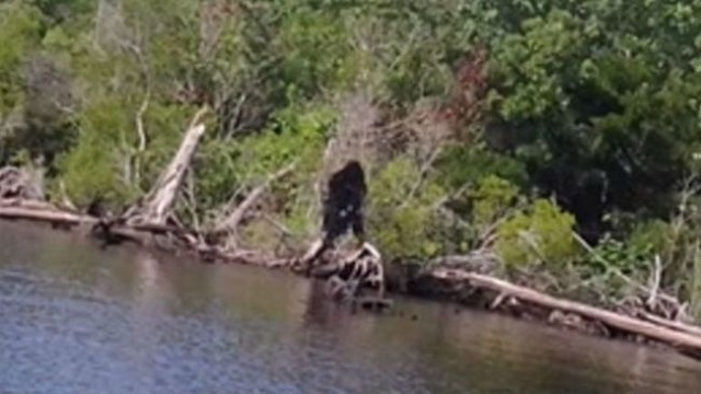 Southern Sasquatch encountered by several officers in Virginia