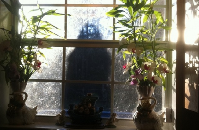 Ghost behind the looking glass