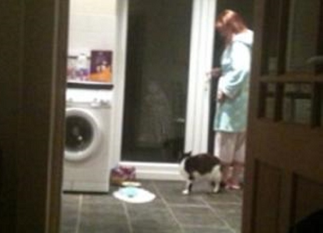 Cat Sees Ghost Girl By Window