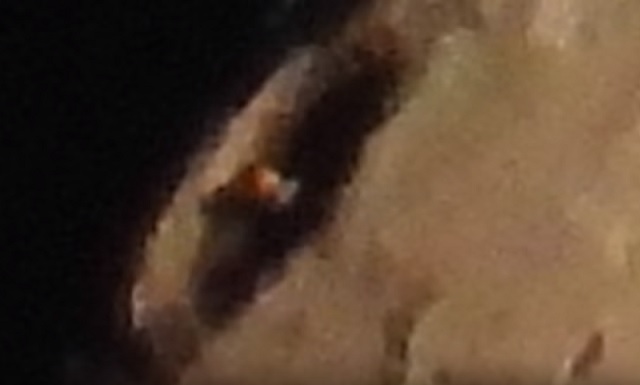 Shocking Photos Show A Huge Unknown Structure On The Moon