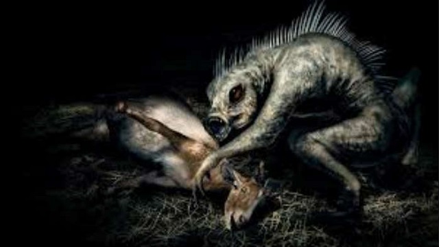 Chupacabra Sighted On San Miguel Island
