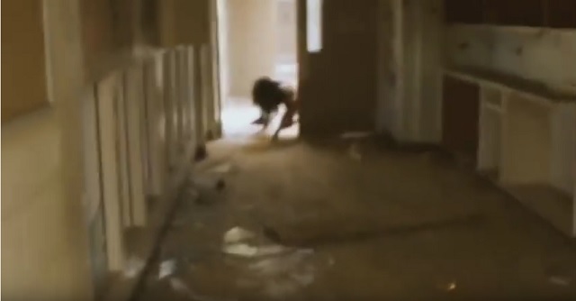 Urban Explorer Friends Find Wandering Asylum Freak