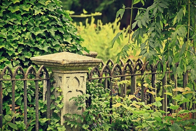 Mysterious Walmart Bag Found At Old Abandoned Cemetery In Louisiana