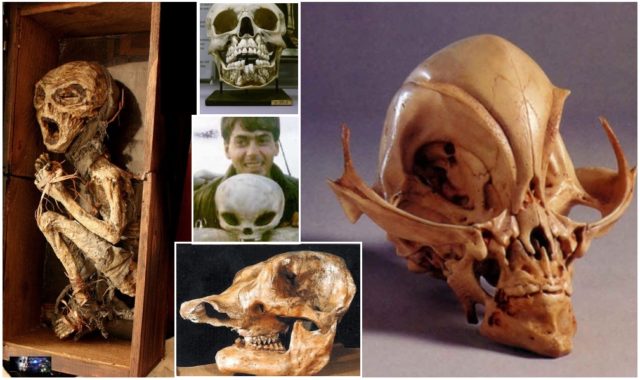 Were Alien Remains Really Found Inside The Vatican?
