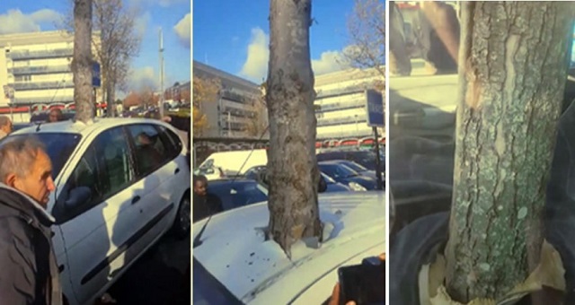 Reality Glitch Demonstrates We Are Living In A Simulation, A Tree Grew Inside Of A Car