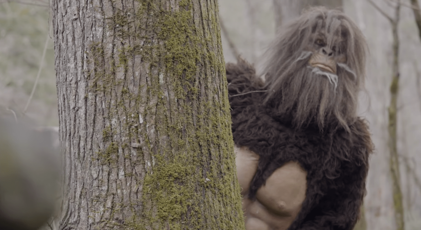 Bigfoot Blamed For Elk Graveyard In Idaho