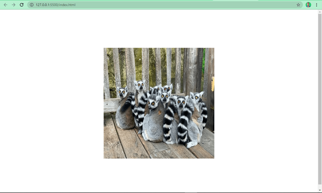 <img> HTML – Image Tag Tutorial (2) <img> HTML – Image Tag Tutorial (2)