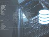 Web Database Development Services Freelance Web Programmer