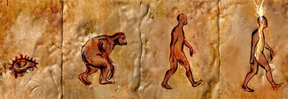 Image result for chakra evolution