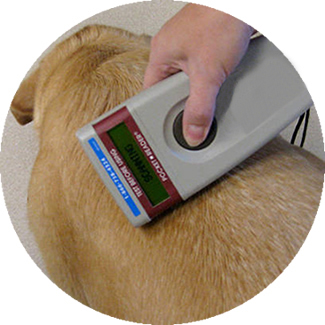 Regardless of your chip’s frequency or where you got it, you can register with us. Free Pet Microchip Registry