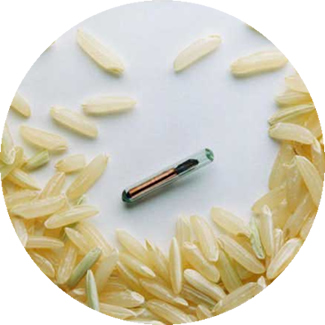 You need to register the microchip and your contact details into a database so your information can be found in the event you are separated from your pet. Free Pet Microchip Registry