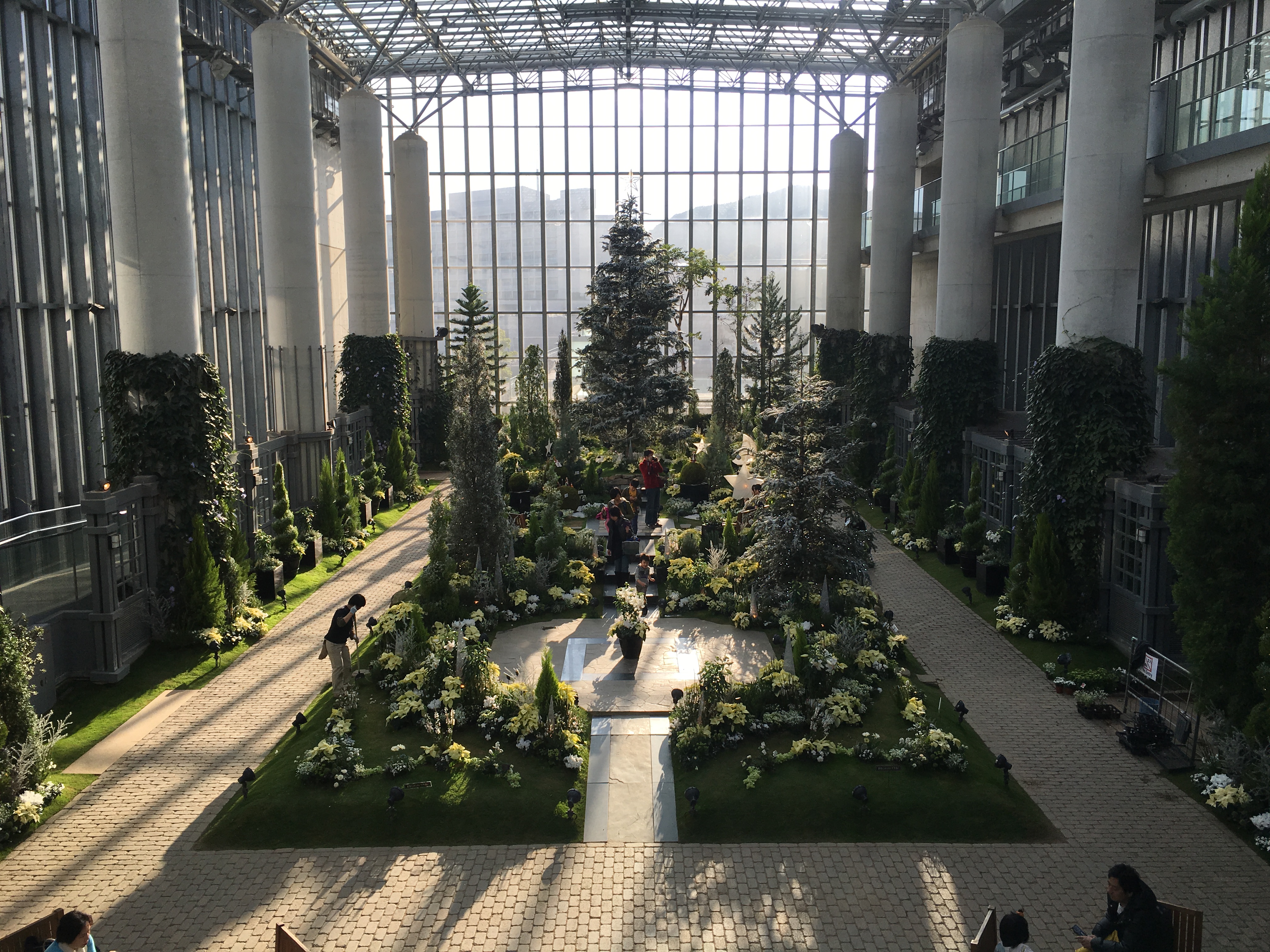奇跡の星の植物館