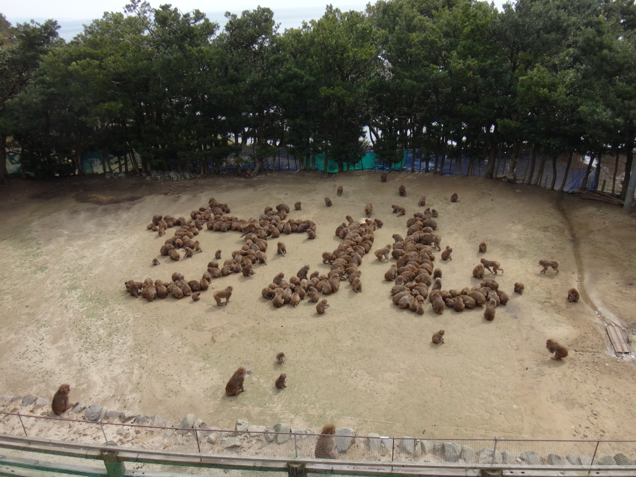 サル文字