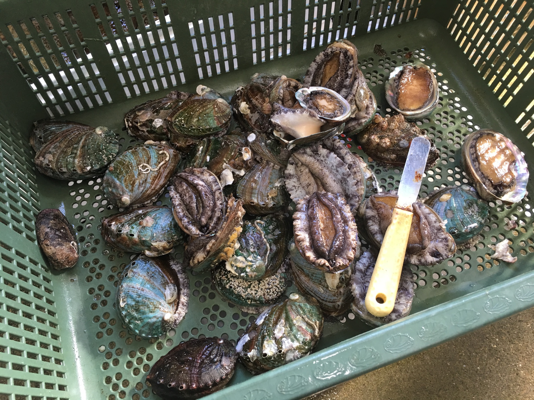 別所水産3