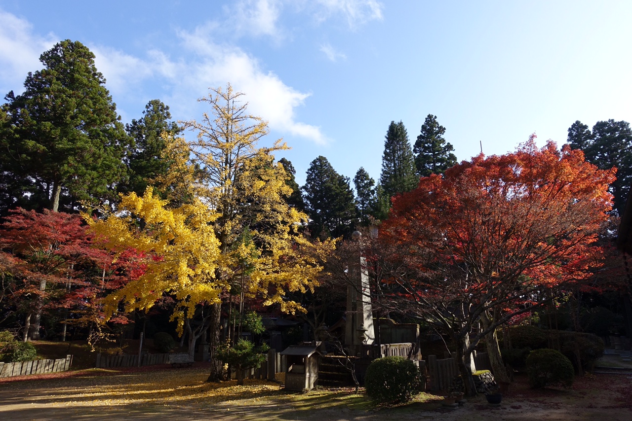 常隆寺1