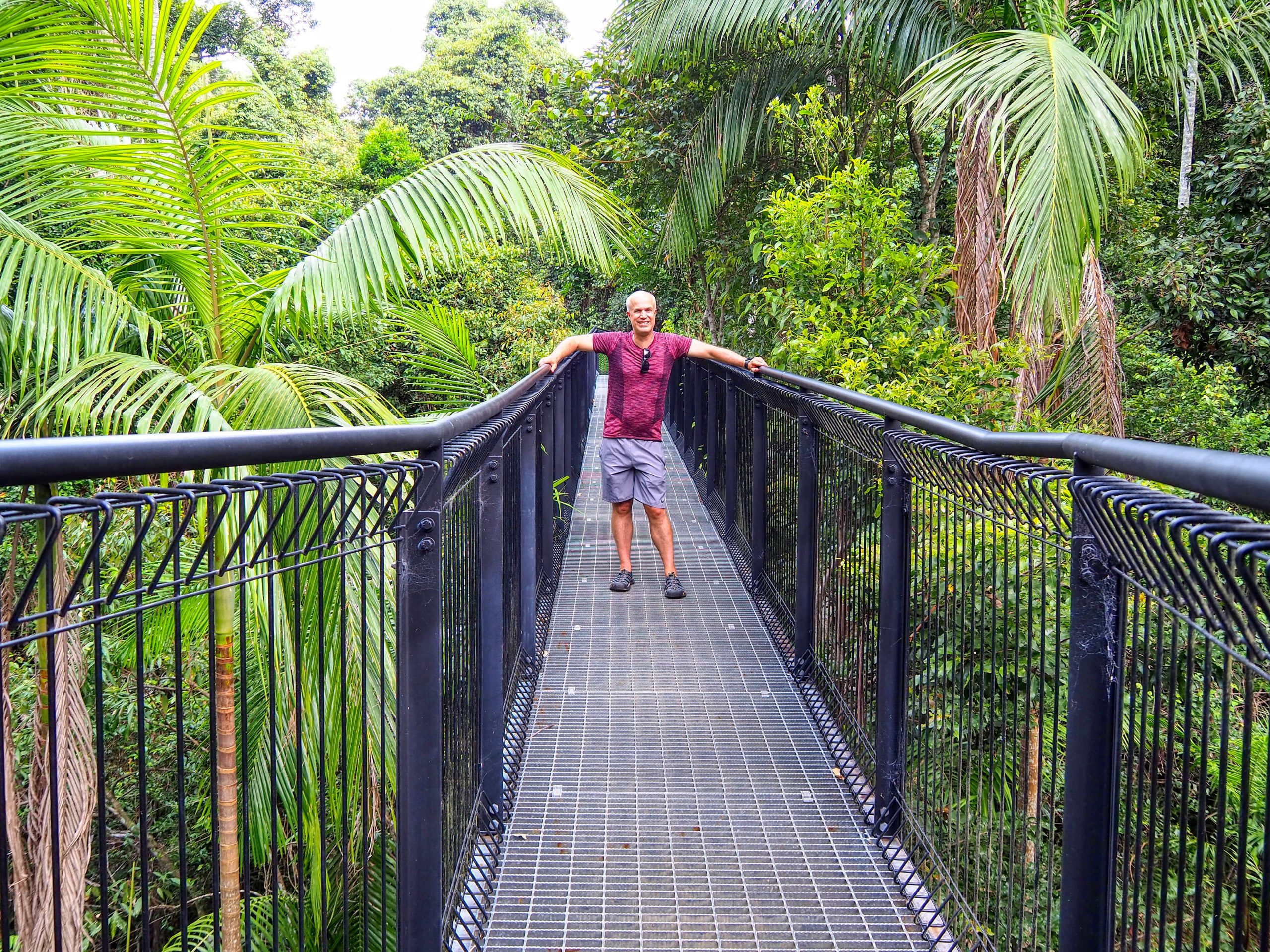 A Quick Guide to Tamborine Mountain Free Two Roam